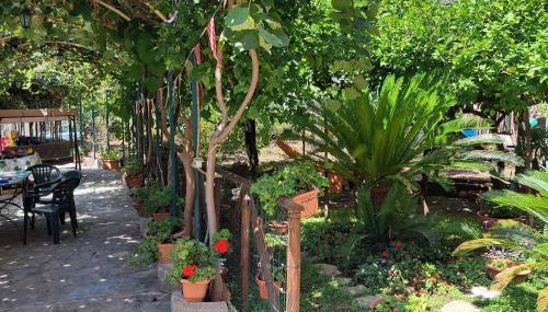 Il Gelso - Foto 2, Garden