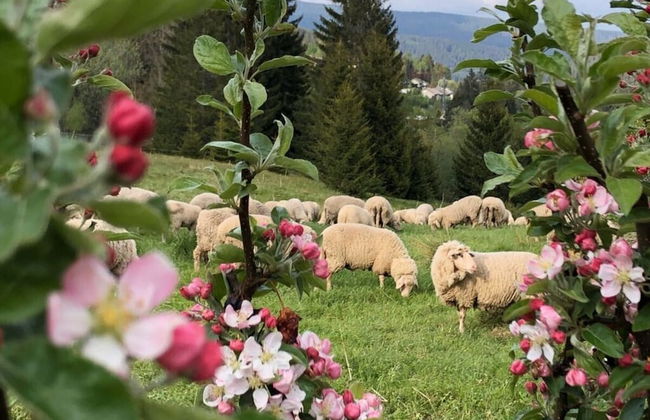 Kassler Comfortable Holiday Residence - Foto 25