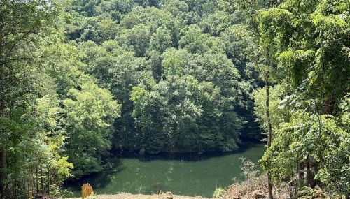 Stunning Lakefront Treehouse! Must book! - Foto 3