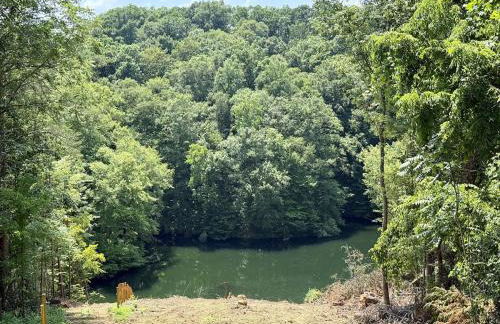 Stunning Lakefront Treehouse! Must book! - Foto 3