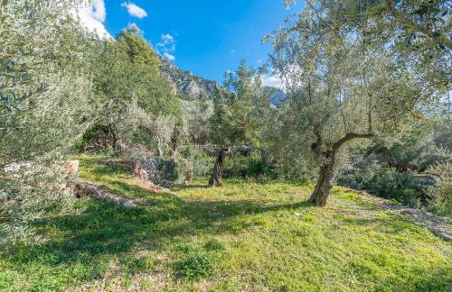 S'Olivaret - Foto 45