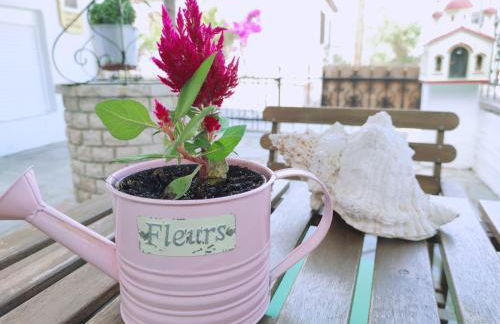 Hotel Alexandra - Foto 40