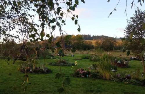 Agroturystyka Jak Makiem Zasiał Dworki 10 - Foto 25