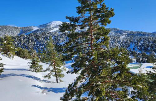 Gréolières Les Neiges - Foto 54
