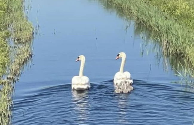 Inviting 2-bed Holiday Home Located in Whitstable - Foto 3