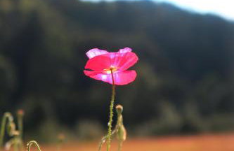 Apartament Czar-nów - Foto 15