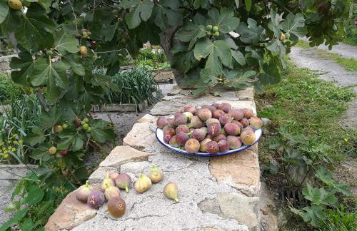 Las Azadas - Foto 39