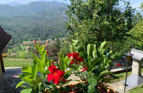 Chalet Alma - Foto 53