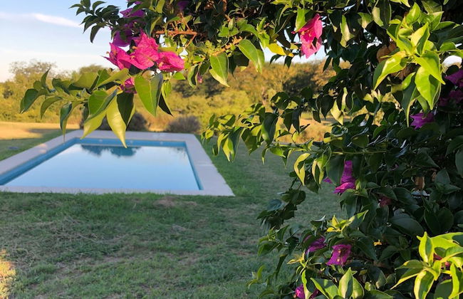 Pura Sangre Chacra - Foto 17