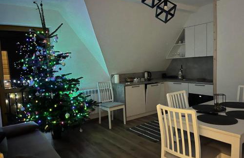 Apartament Bioło Izba - Foto 18