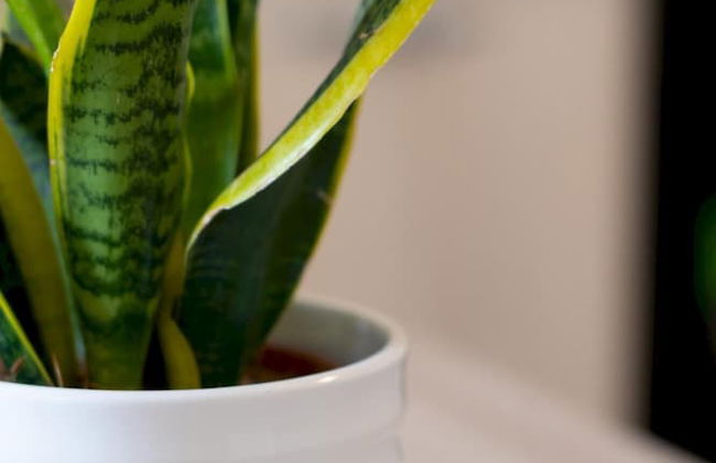 Appartamento 70 in Casalabate - Foto 26