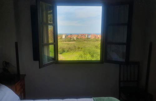 Complejo Rural Las Mimosas del Nalon - Foto 70