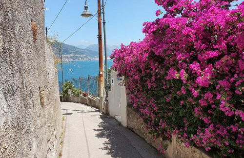 Villa Venere - Amalfi Coast - Private Sea Access - Foto 13