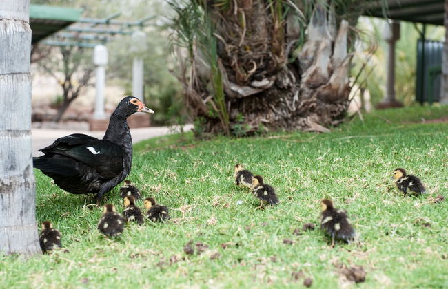 De Werf Lodge - Photo 29