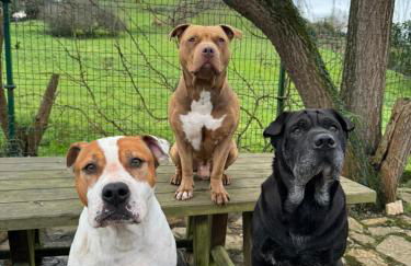 Casa Candelas - Foto 49