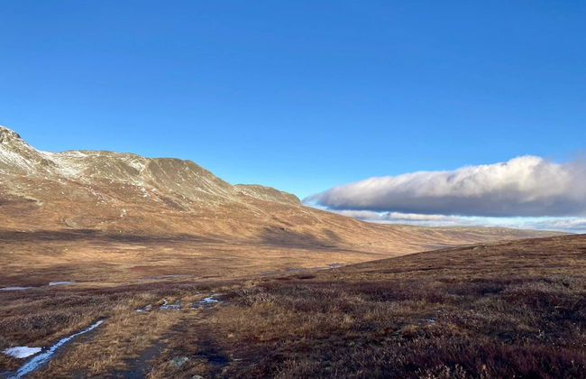 4 Person Holiday Home in Geilo-by Traum - Photo 27