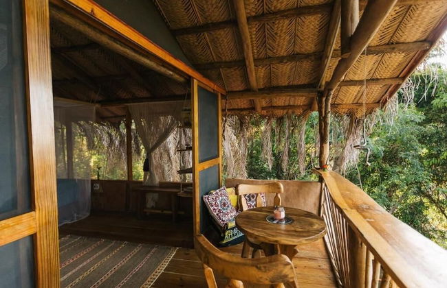 Sol de minca - Photo 27