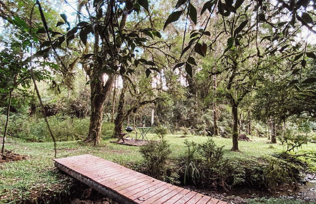 Urutau Pousada - Photo 24