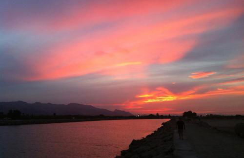 Florazar de Ensueño - Foto 21