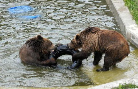 RenaissanceStuben - Foto 31