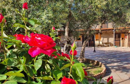 Albergue El Solitario - Foto 16