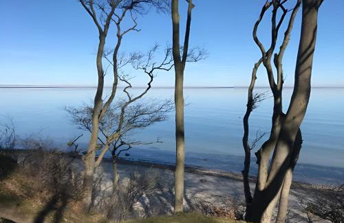 Carpe diem - Foto 14