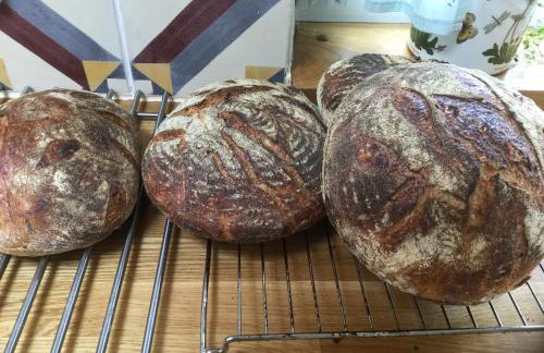 Oban Seil Farm - Photo 25