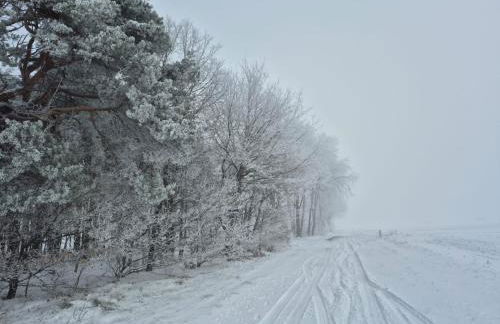 Blockhaus Ville - Foto 30
