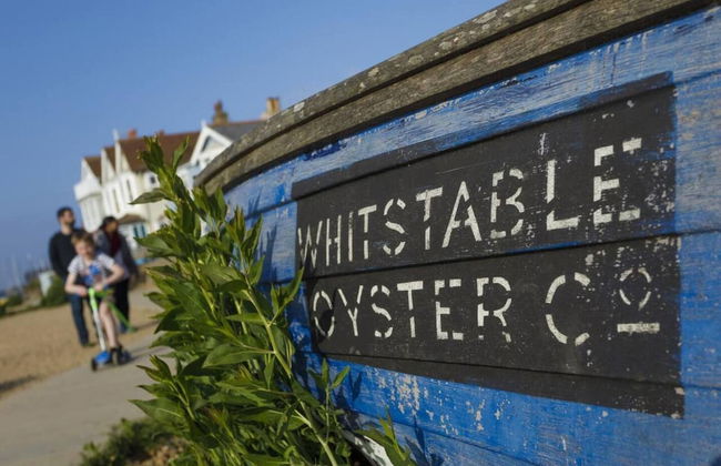 Beachfront Retreat With Panoramic Views Of The Bay - Foto 17