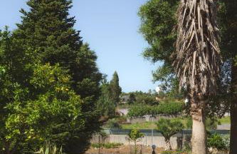 Casa das Milheirices - Foto 41