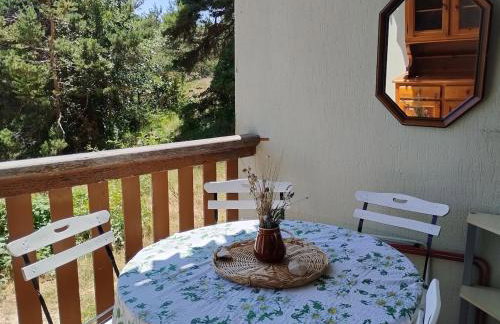 Gréolières les Neiges Studio 4 personnes - Foto 17