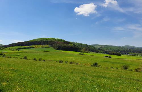 Fewo TaLuLa - Sauerland mit Hund - Foto 25