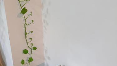 Maison Retrò Napoli - Foto 4