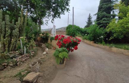 Vivienda Turística La Huerta - Foto 4