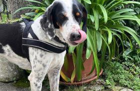 Studio Luise - Foto 24