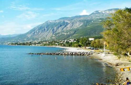 Filothei Apartments - Photo 6