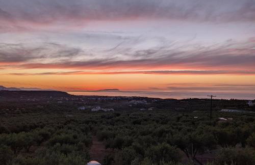 House of Polymnia - Photo 55