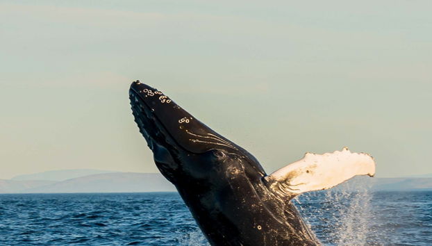 Tour in Bei Du Xin Di Qu - Foto 4