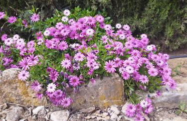 Casa Rural Vista Bella - Photo 20