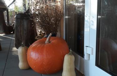 Siedlisko Swojskie Klimaty - Foto 41