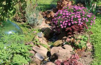 FEWO Odenwald - Anna - Photo 6