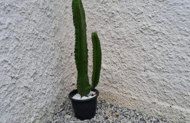Recanto Ganesha seu paraíso na praia, no Recanto de Itaipuaçu ao lado de Itacoatiara - Foto 50