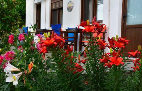 Mirsini Apartments - Foto 49