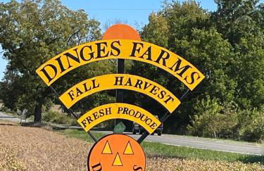 Springfield Beach House - Foto 44