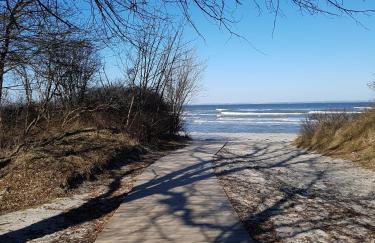 Seesternchen - Foto 20