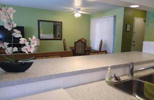 Affordable Two Bedroom Tropical Condo - Private Beach, Pools, Hot Tub - Foto 24