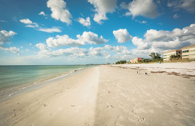 Seashell 19 - Foto 1