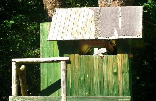 Dom Geologa - Foto 71