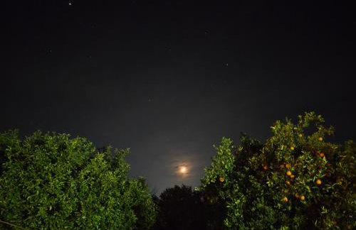 Serene Country House (near Ancient Tiryns) - Foto 44