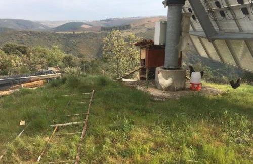 Mosteirinho - Foto 32